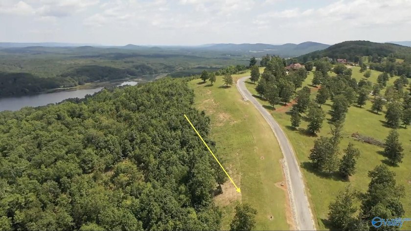 Enjoy extravagant views from the gated community of The Bluffs - photo 2