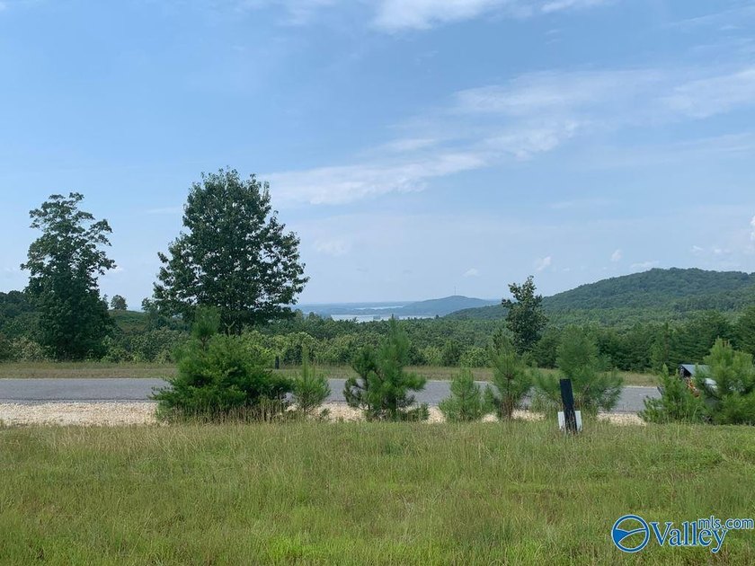 Enjoy extravagant views from the gated community of The Bluffs - photo 5