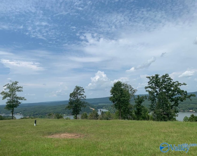 Enjoy extravagant views from the gated community of The Bluffs - photo 6