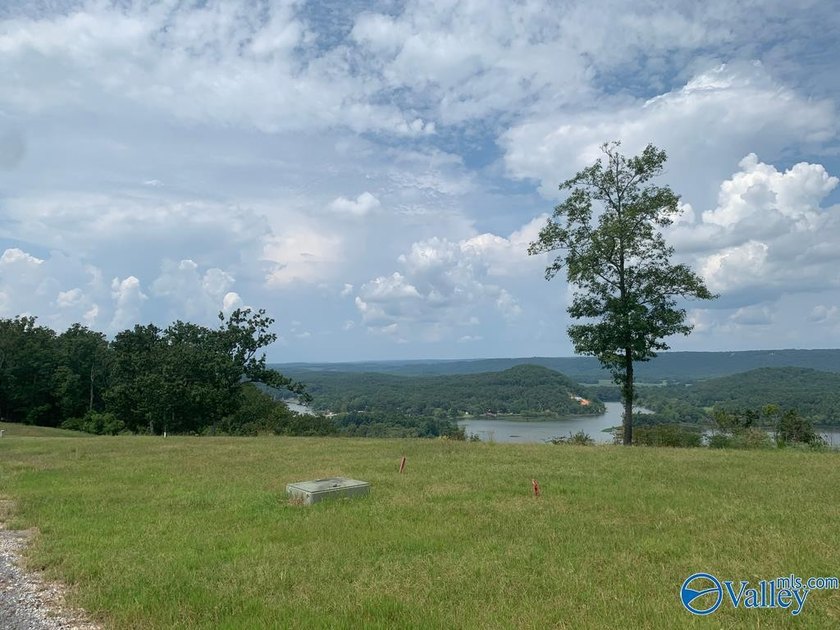 Enjoy extravagant views from the gated community of The Bluffs - photo 7