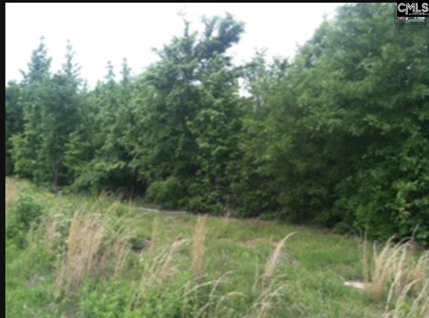 This approximately 27 acre tract is positioned in a *hot spot* - photo 2
