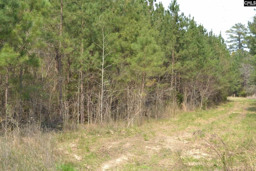 This approximately 27 acre tract is positioned in a *hot spot* - photo 9