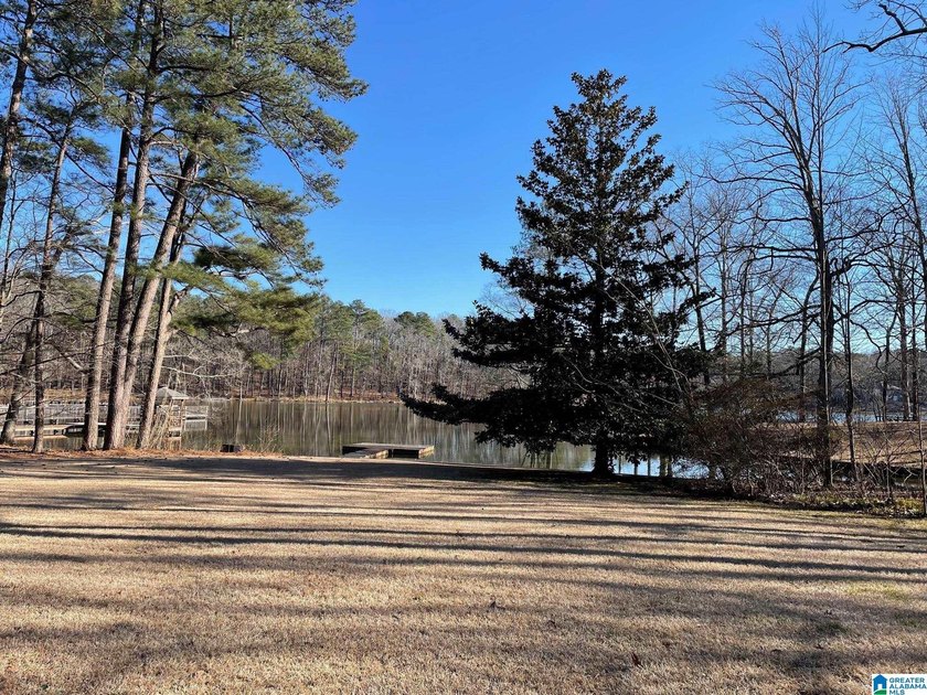 Welcome to lake living at its finest in the wooded Rock Mountain - photo 47
