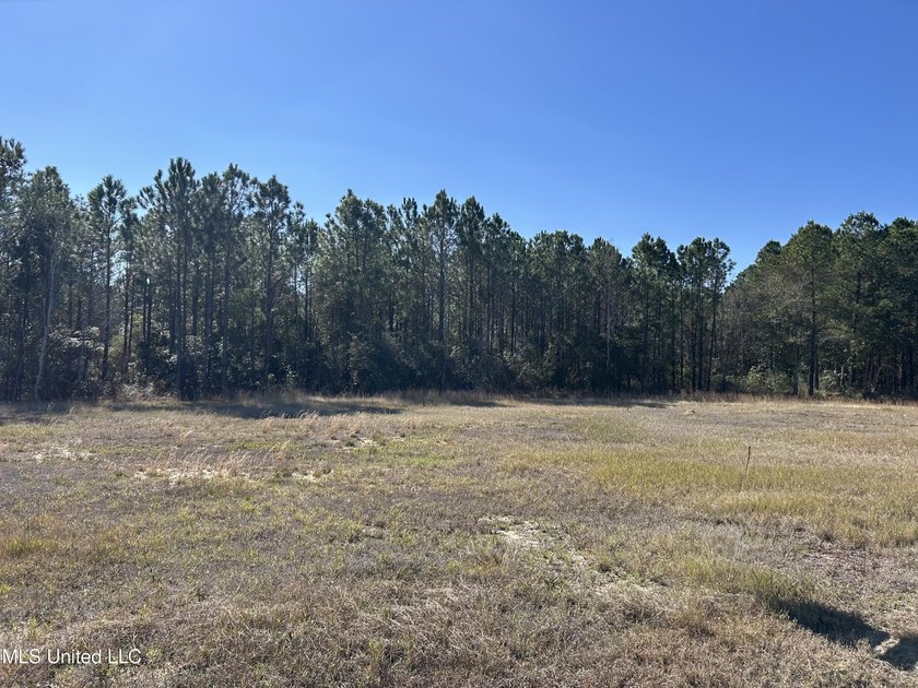 Build-Ready Lot Near the Beach &amp; Downtown Bay St. Louis Cleared - photo 2