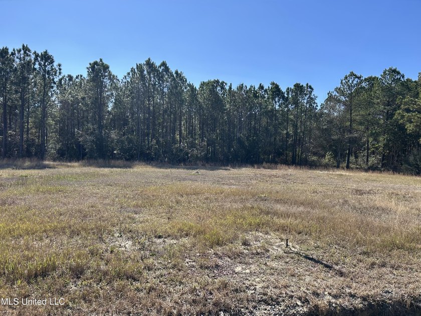 Build-Ready Lot Near the Beach &amp; Downtown Bay St. Louis Cleared - photo 4