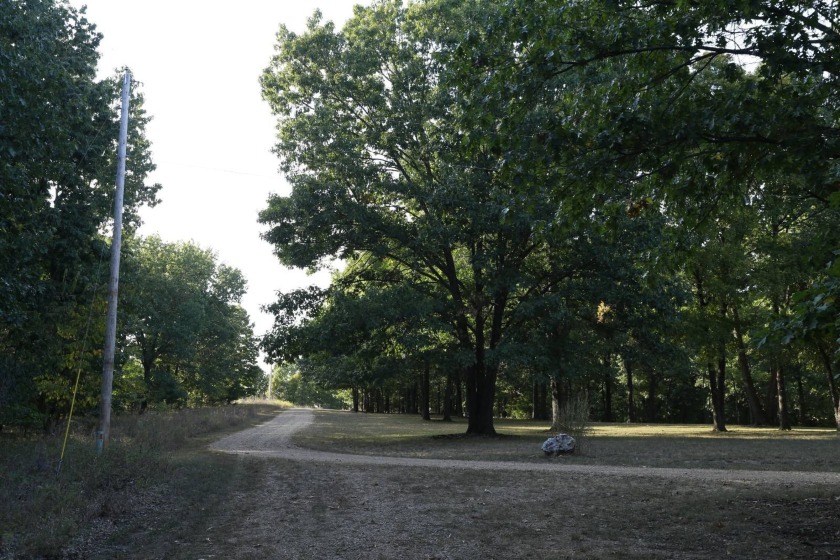 Wholesale opportunity to buy 174 recorded and surveyed lots - photo 39