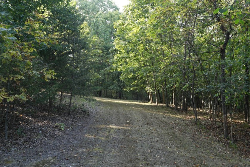 Wholesale opportunity to buy 174 recorded and surveyed lots - photo 40