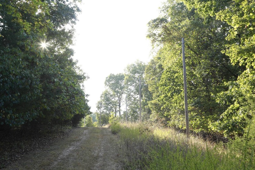 Wholesale opportunity to buy 174 recorded and surveyed lots - photo 43