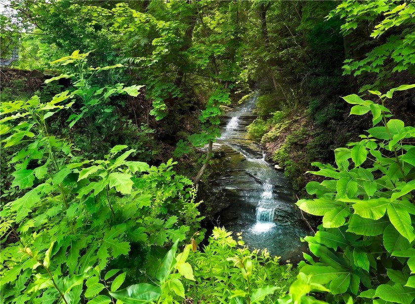 Enjoy the best of Seneca Lake living on the desirable west side - photo 11