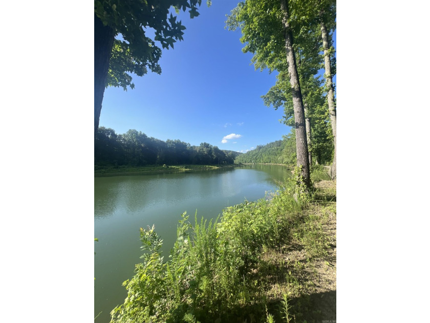 Peaceful, serene, tranquillity. Fishing dock and turnkey! This - photo 39