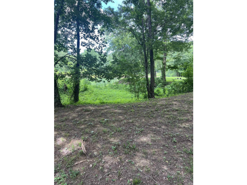 Peaceful, serene, tranquillity. Fishing dock and turnkey! This - photo 41