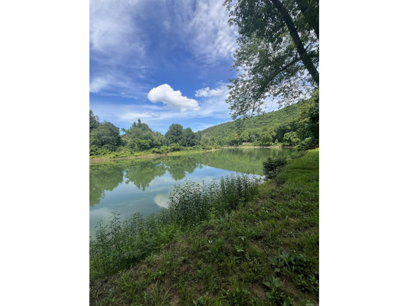 Peaceful, serene, tranquillity. Fishing dock and turnkey! This - photo 44
