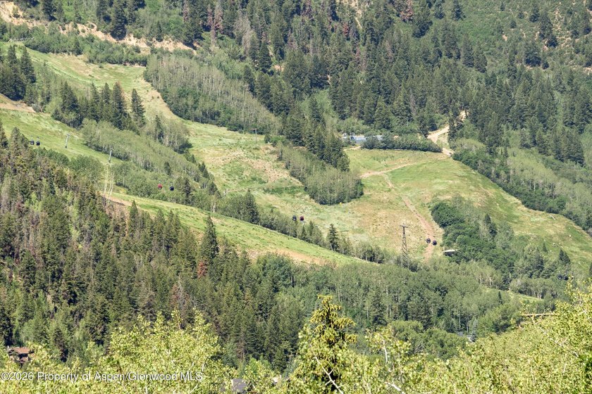 Nestled among a serene grove of mature aspens in one of Aspen's - photo 35