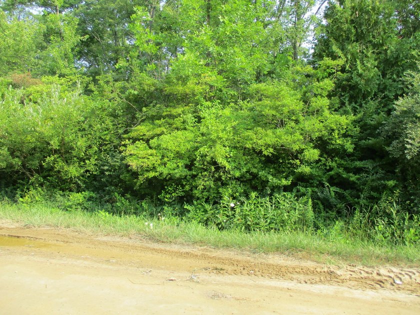 Vacant Lot 120 X 105. Consists of four 30 ft lots. Lake Michigan - photo 3