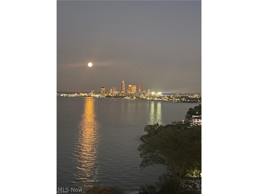Experience convenient and vibrant living in this updated studio - photo 15