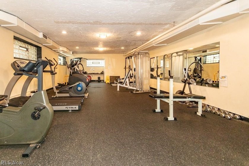 Experience convenient and vibrant living in this updated studio - photo 17