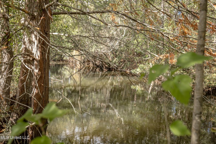 Enjoy waterfront living on the bayou in Gautier, conveniently - photo 34