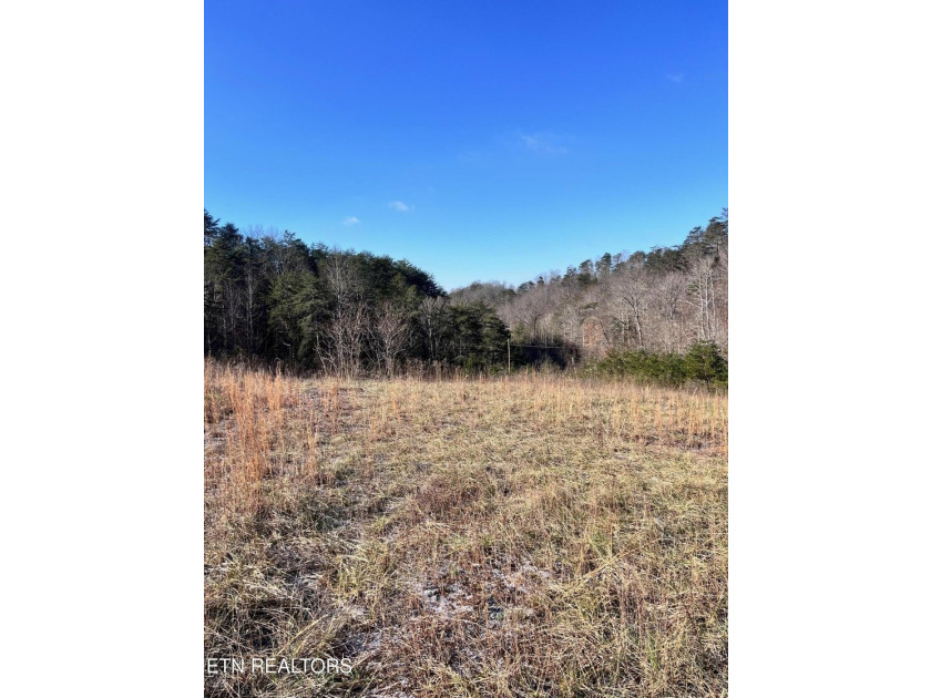 Welcome to Tract 2 on Bundren Mountain in beautiful East - photo 4