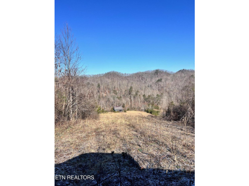 Welcome to Tract 2 on Bundren Mountain in beautiful East - photo 5