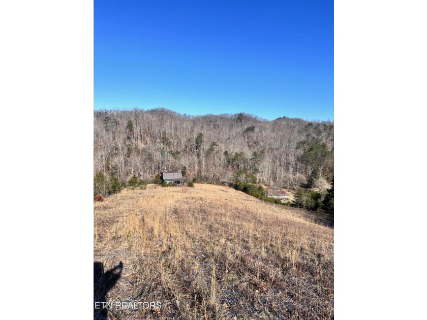 Welcome to Tract 2 on Bundren Mountain in beautiful East - photo 6
