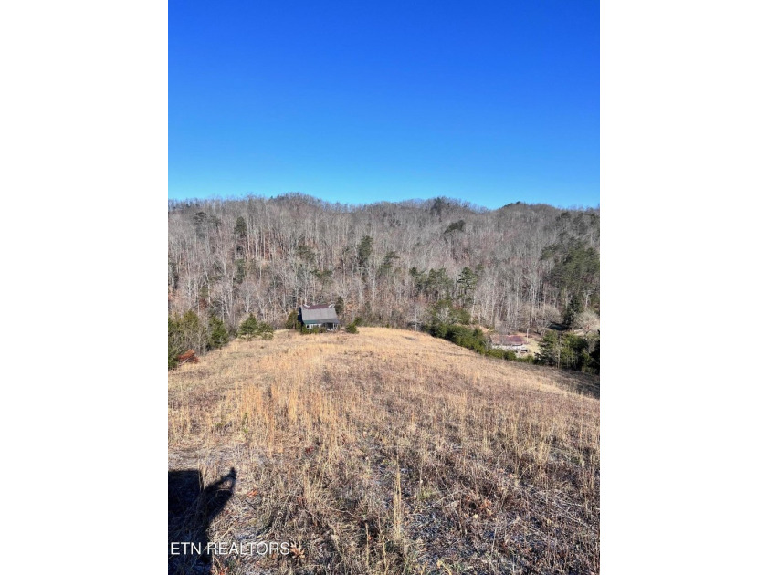 Welcome to Tract 2 on Bundren Mountain in beautiful East - photo 7