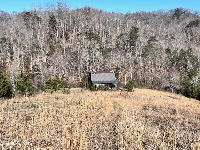 Welcome to Tract 2 on Bundren Mountain in beautiful East - photo 10