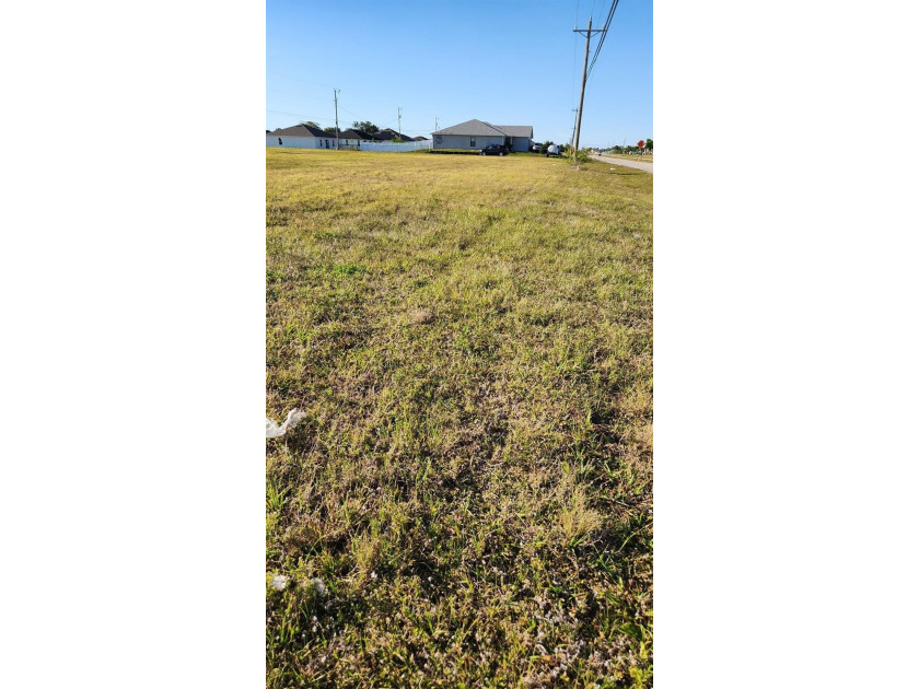 Residential lot with City Water and Sewer. Cleared 18,000 Sq Ft - photo 5
