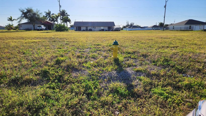 Residential lot with City Water and Sewer. Cleared 18,000 Sq Ft - photo 6