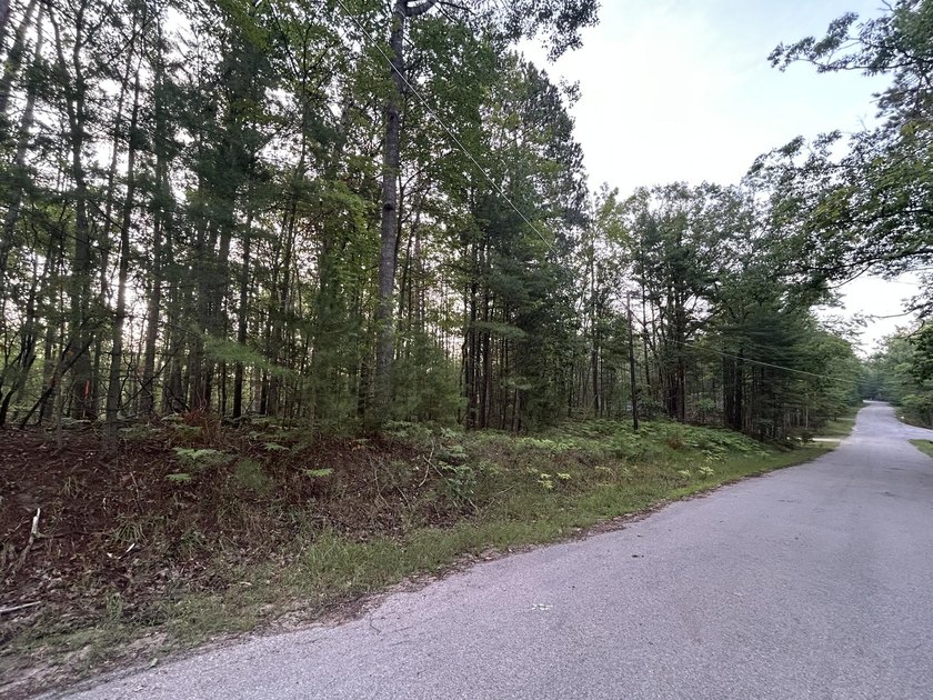 Two wooded, water-view lots being sold together in a beautiful N - photo 5