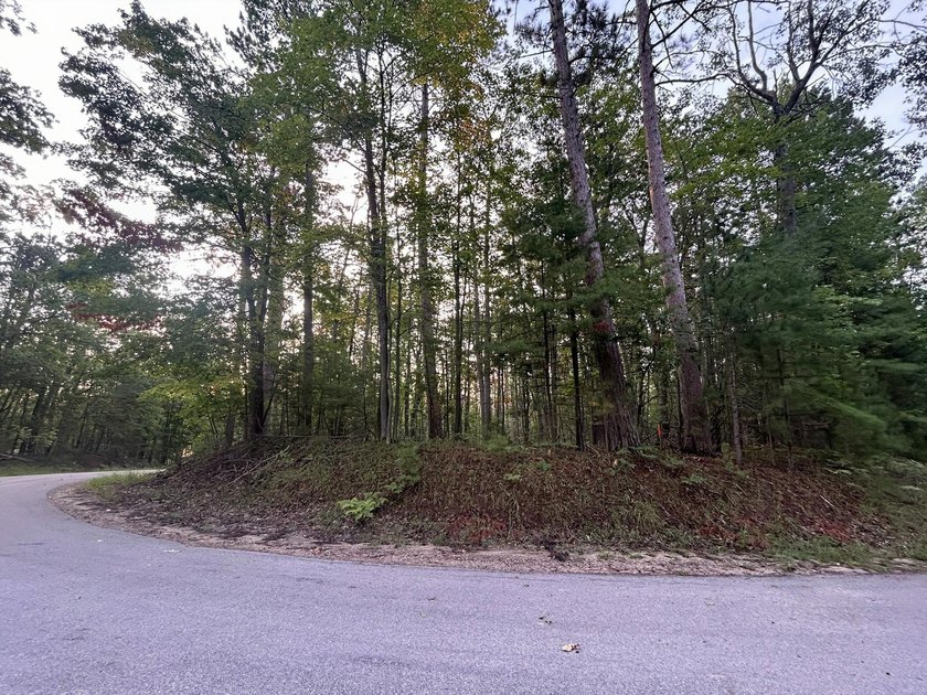 Two wooded, water-view lots being sold together in a beautiful N - photo 7