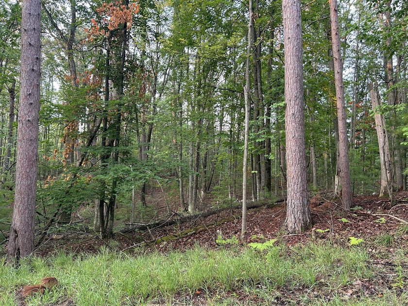 Two wooded, water-view lots being sold together in a beautiful N - photo 8