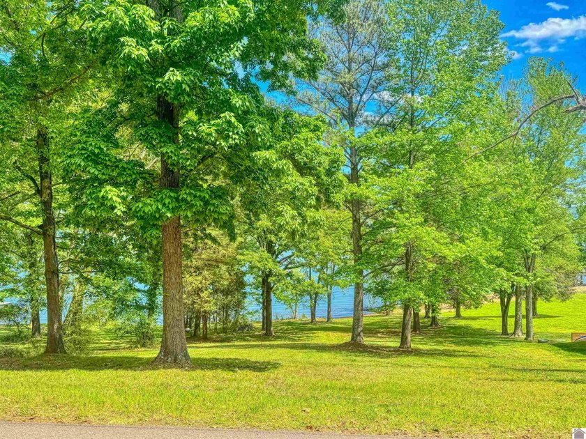 Wake up to breathtaking waterfront views on Kentucky Lake's main - photo 2