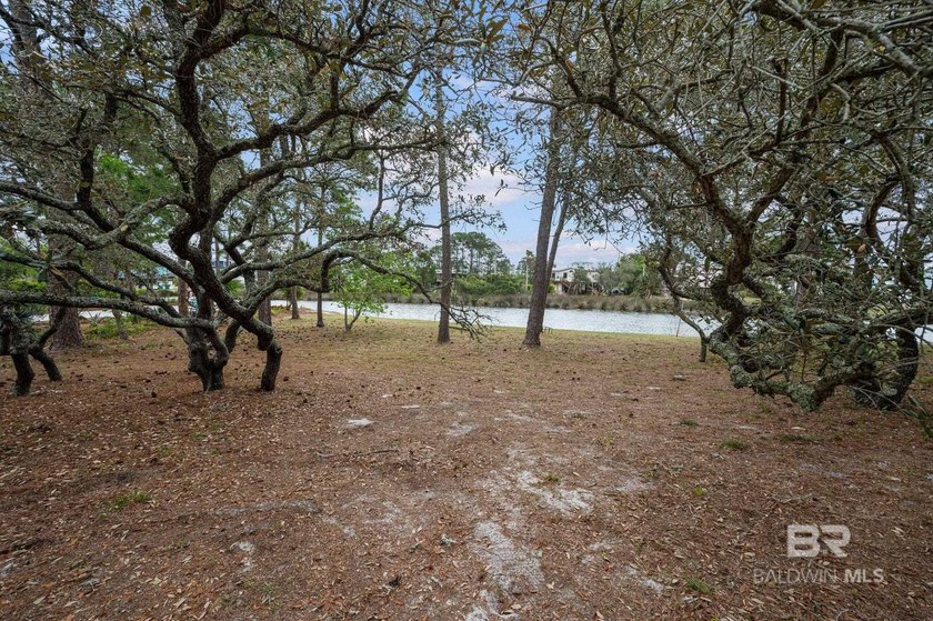 Perched high on one of Gulf Shores' most elevated points, this - photo 30