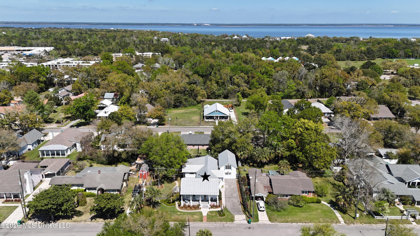 Timeless Charm Meets Modern Living -- Minutes from Downtown Bay - photo 41