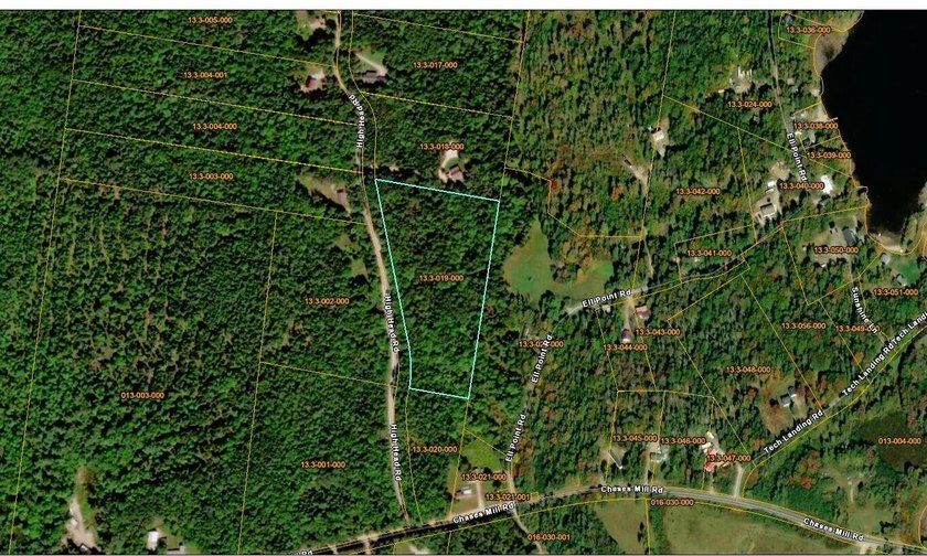 Thickly wooded with a healthy mix of hardwoods and evergreens - photo 11