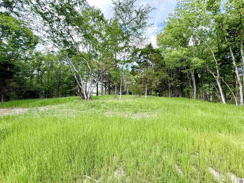 This 18-acre tract of rolling, wooded land just minutes from - photo 7