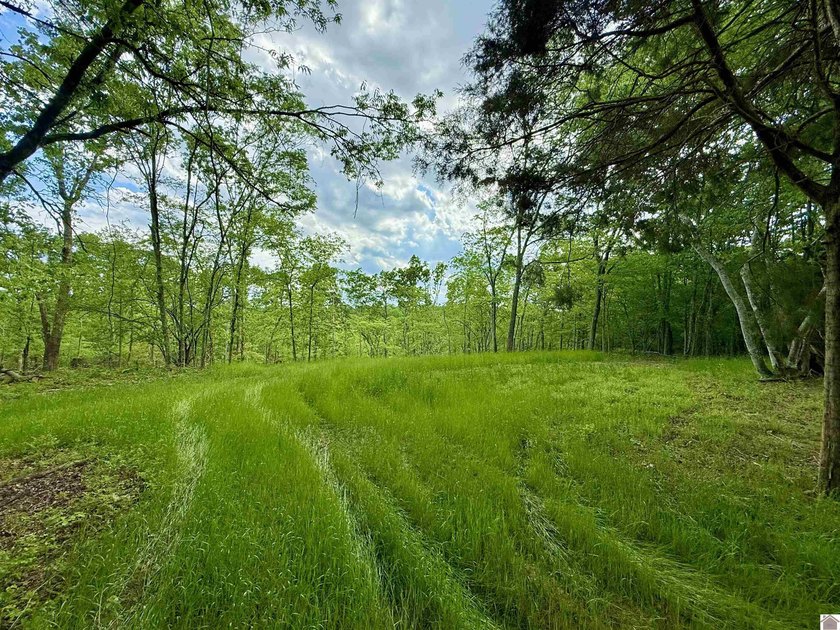 This 18-acre tract of rolling, wooded land just minutes from - photo 8