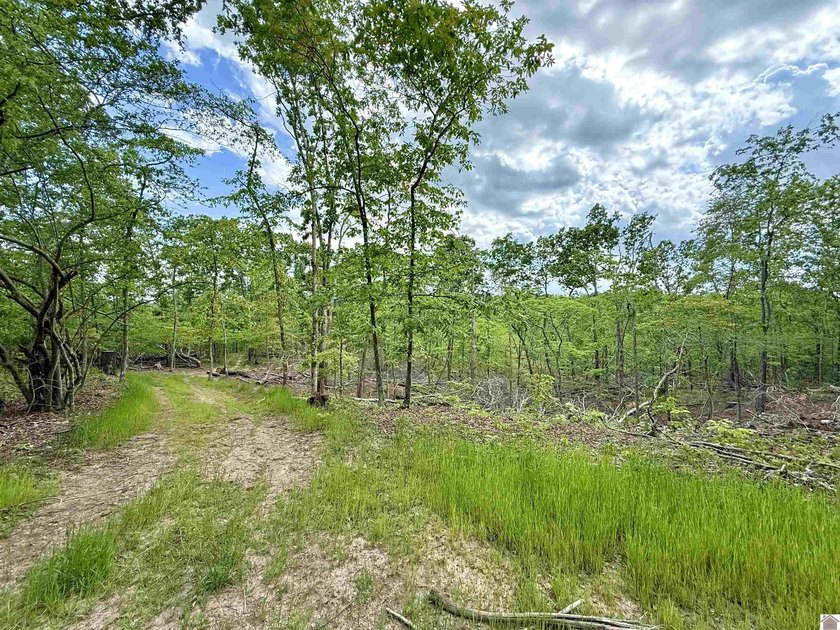 This 18-acre tract of rolling, wooded land just minutes from - photo 10