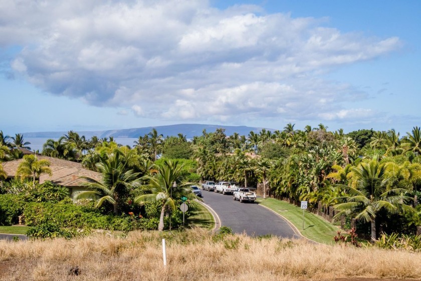 There is only one undeveloped lot remaining in the prestigious - photo 15