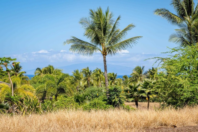 There is only one undeveloped lot remaining in the prestigious - photo 20