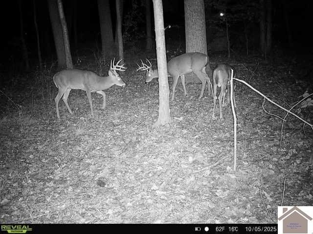 Discover the perfect blend of privacy, nature, and opportunity - photo 5