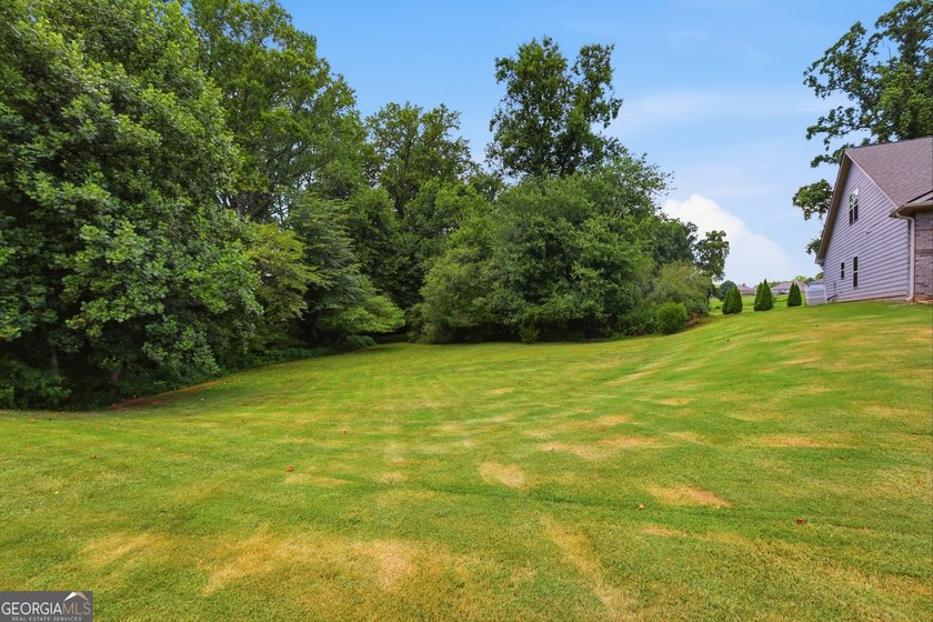 Newer construction, 3 private acres, and over 2,800 square feet - photo 11