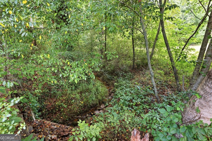Newer construction, 3 private acres, and over 2,800 square feet - photo 12