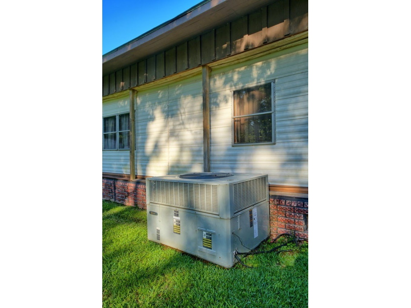 Affordable Lake Area Living with Room to Roam! This affordable 3 - photo 17