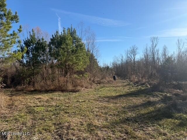 95+/- Acres on Raymond Road - Creek, Ponds, Airstrip, Homesite - photo 2