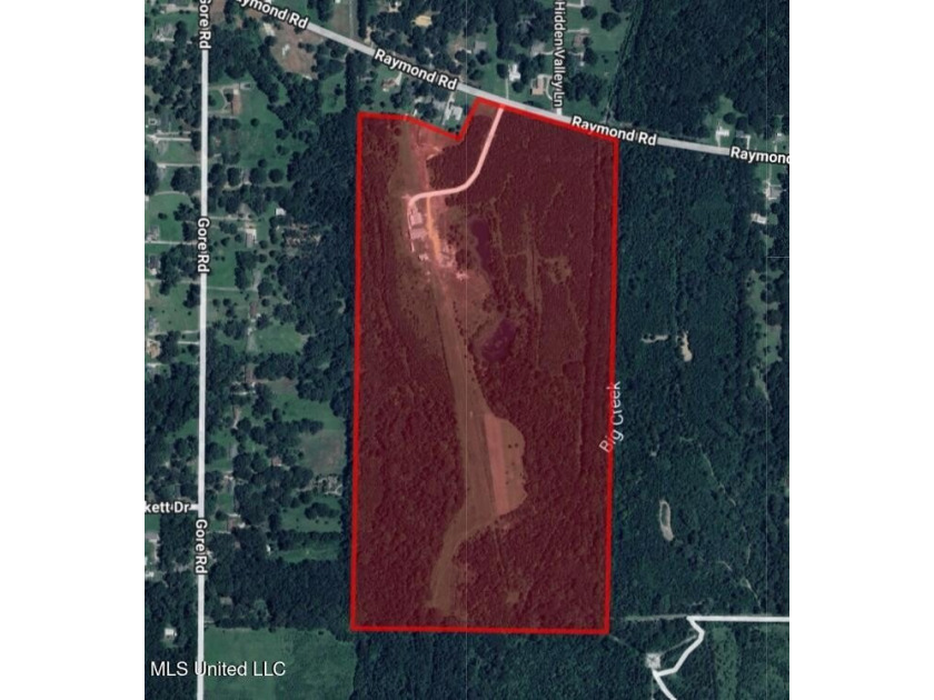 95+/- Acres on Raymond Road - Creek, Ponds, Airstrip, Homesite - photo 3