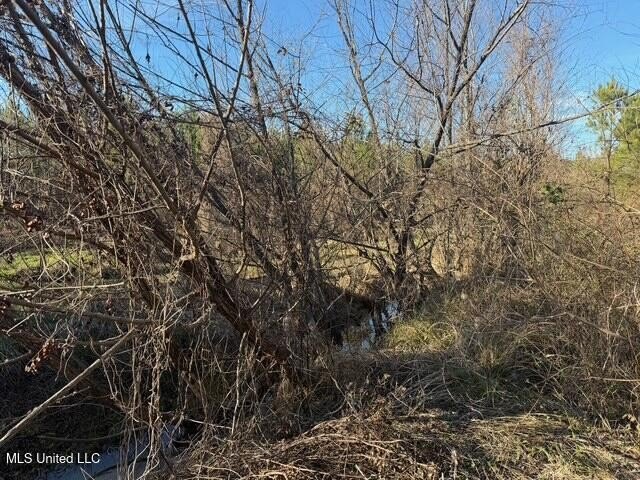 95+/- Acres on Raymond Road - Creek, Ponds, Airstrip, Homesite - photo 9