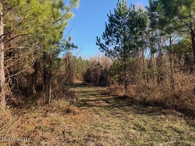 95+/- Acres on Raymond Road - Creek, Ponds, Airstrip, Homesite - photo 10