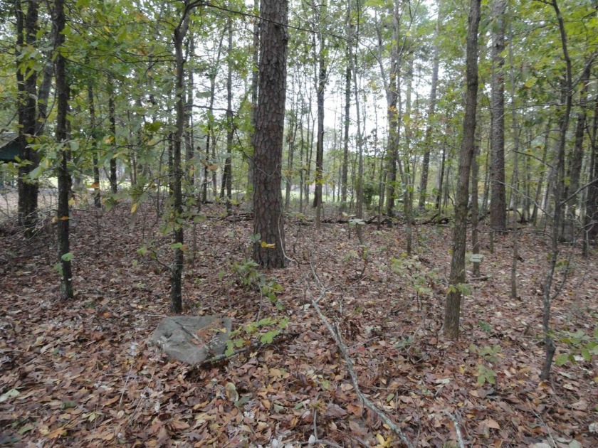 1 vacant double lot for sale, ready for your new home, joining - photo 7