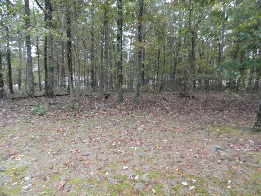 1 vacant double lot for sale, ready for your new home, joining - photo 8